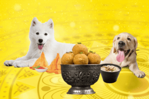 5 Easy Pet Friendly Diwali Recipes