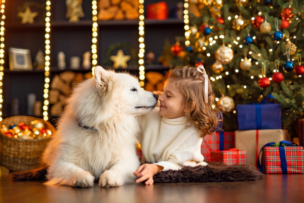 Pet safety at Christmas